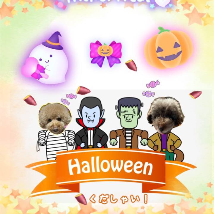 D624431a 84fd 4e87 8d2b 436da40f9caf 1667216734198