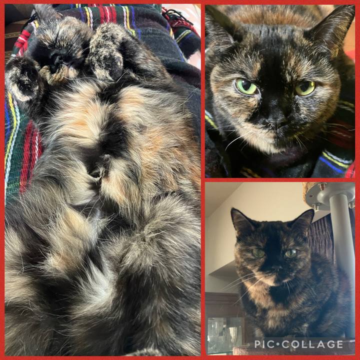 D6244b38 ea9b 426b a3f8 51d07eabec8b 1771451495949