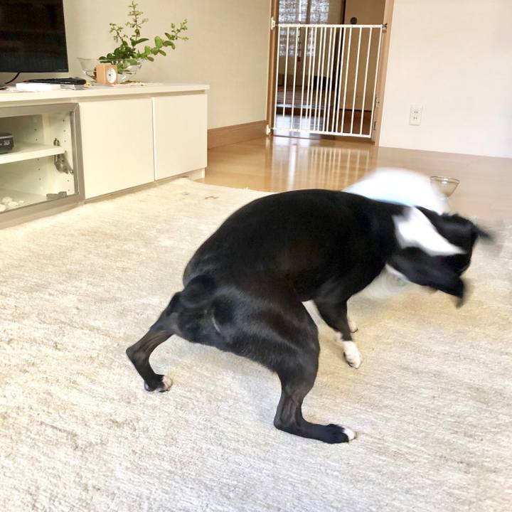 D6245489 04da 4553 b259 9a0e10fc33fd 1532161865682