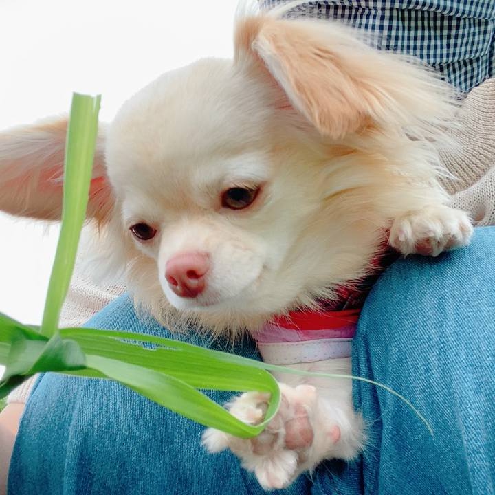 D6245cbd 6a7a 424c a51b 2b2986a84175 1625542592378