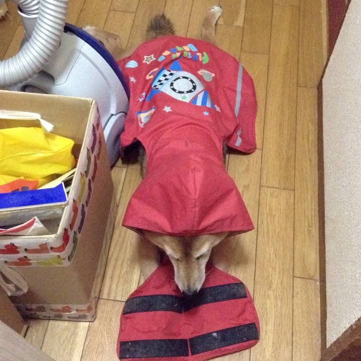 D6248a4a c30d 4aad 88b8 a01ff6ce1805 1532768362366