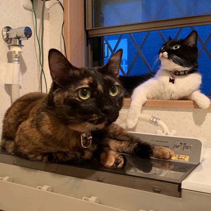 D624fa02 4e3a 4ffb b372 41dc579fc61a 1565565062000