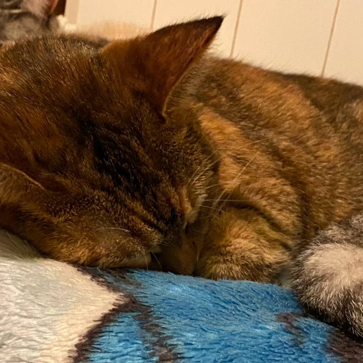 D6253c34 a6d4 40a0 920f b586834275d2 1576328200588