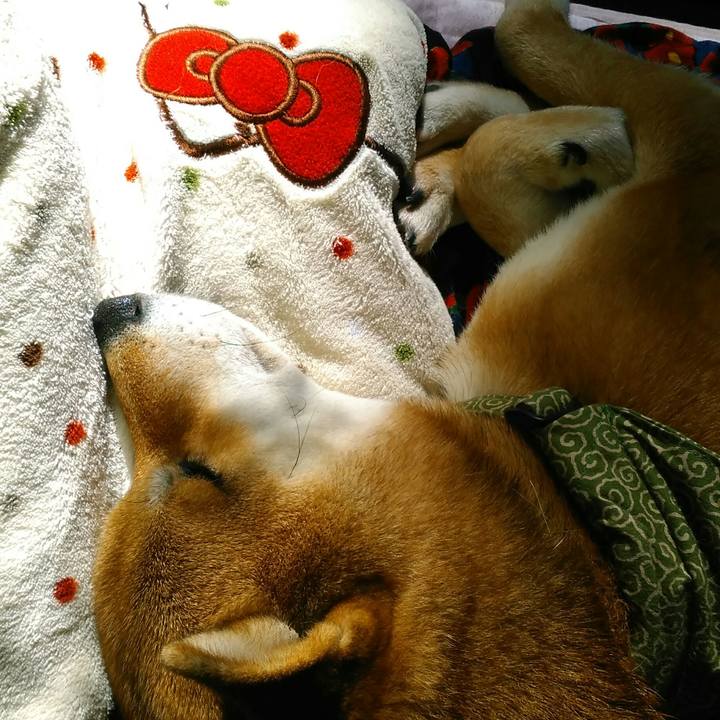 D625671f ac53 4f30 a182 96c4610b378f 1517969196681