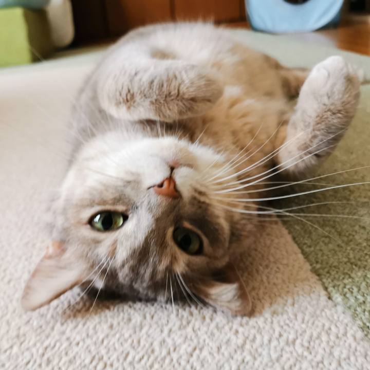 D6258979 c7a1 42d9 bdb0 74eb9a5cbd35 1633833616711