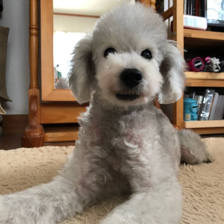 D625908f 5eee 45d6 8304 1b48a29e56e6 1627260131490