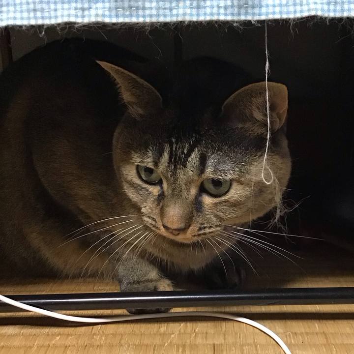 D6259c9b 55e2 4eb3 9e7b c947ddb8462b 1728465112563