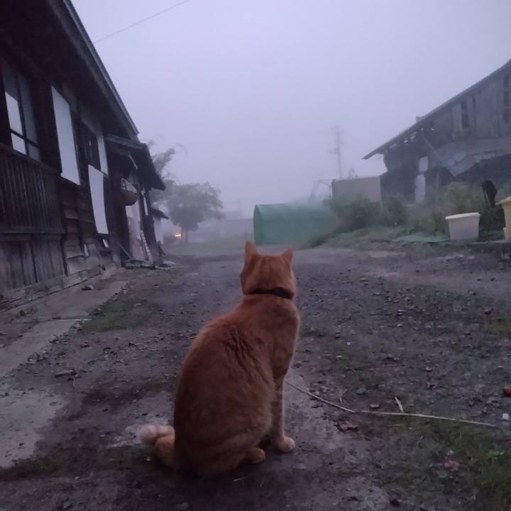 D625a04a 5cf3 4040 9252 e4cf44b81153 1665005008709