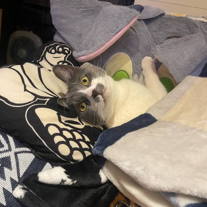 D625af77 21e3 44a8 9331 d0fab95d1cb9 1705402099076