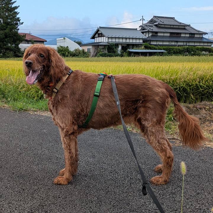 D625d22b fa51 4e0d b09d 6cb6cf29f8af 1757205434868