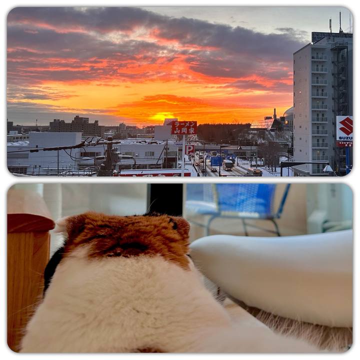 D6262249 02a1 444c 904f d3917ad365a4 1702420194904