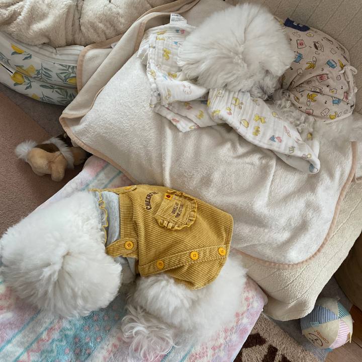 D62625aa cf81 41c2 a874 1ad65df007cf 1644044729622