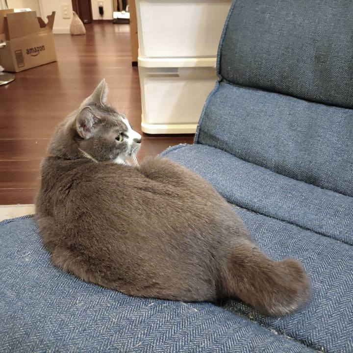 D62630e8 d65d 4c7e 9360 25d29c55c126 1669729282832