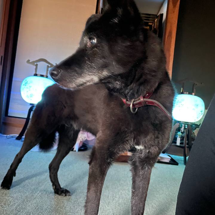 D6263e36 434b 4def a486 bcd72c77b536 1692046299474