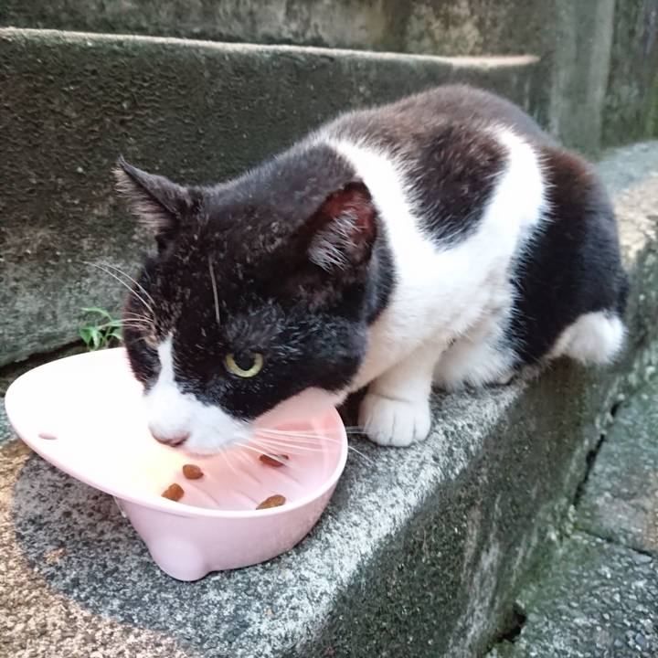 D6264fea 0221 40a8 92b0 105feacdf28f 1695725626184