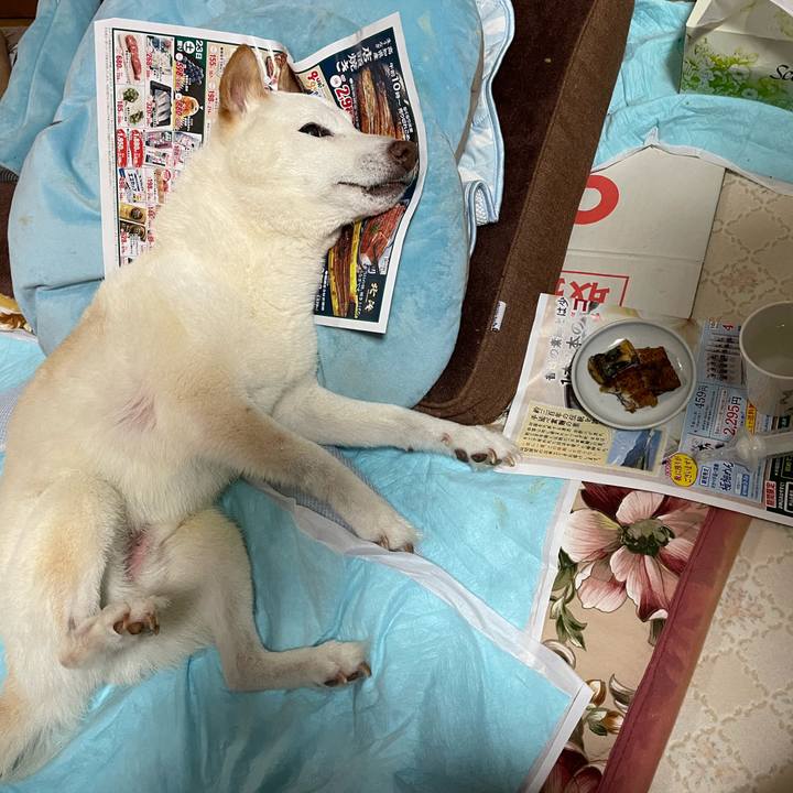 D6267f54 a80f 463f b35a a51ae2d04d99 1658585827820