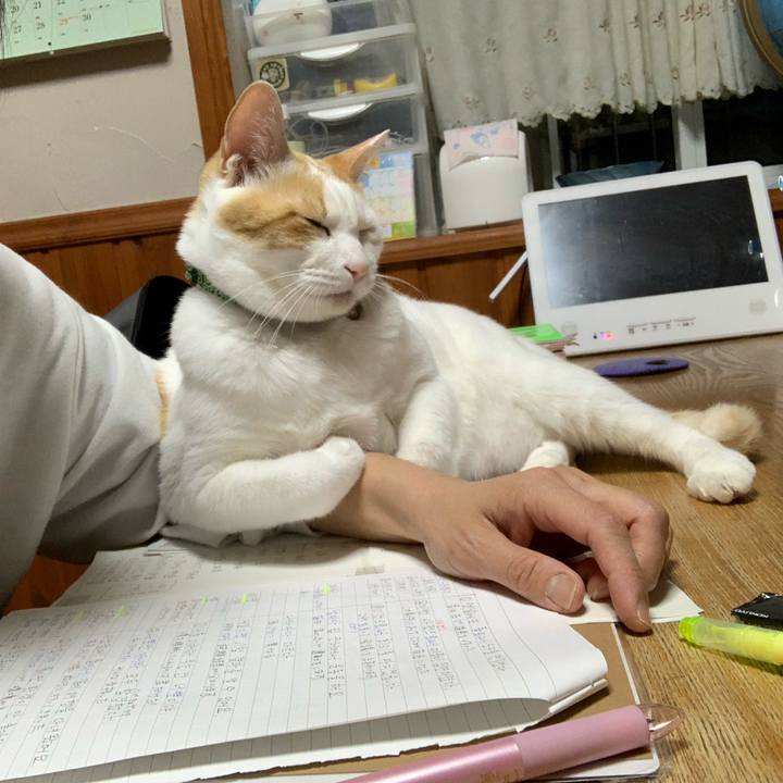 D6269a75 7a4f 40ce 9b91 479e2e0a48a8 1586008833787