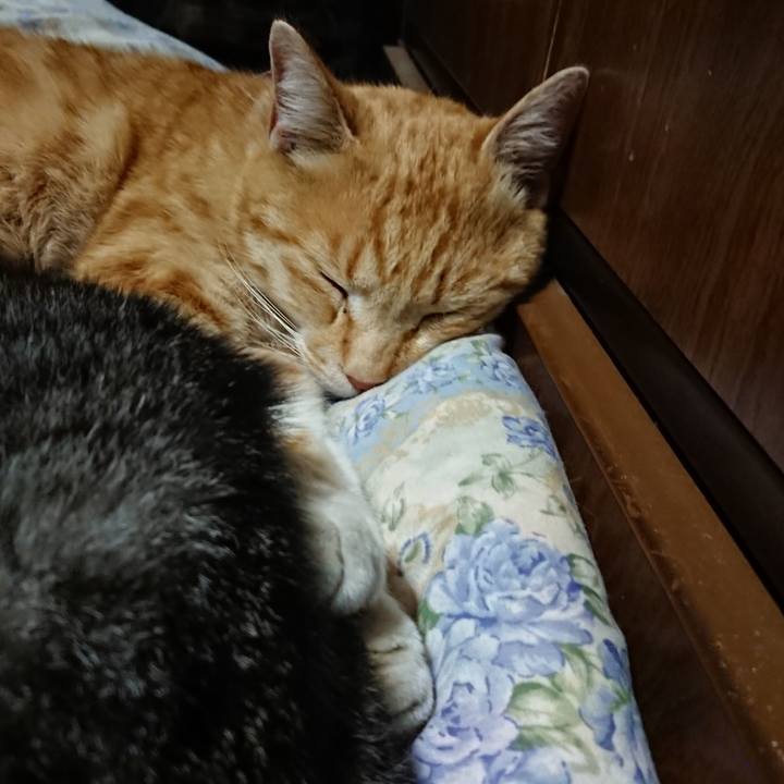 D626c6f3 cade 4911 bc7d a5d47b1871ec 1588251165352