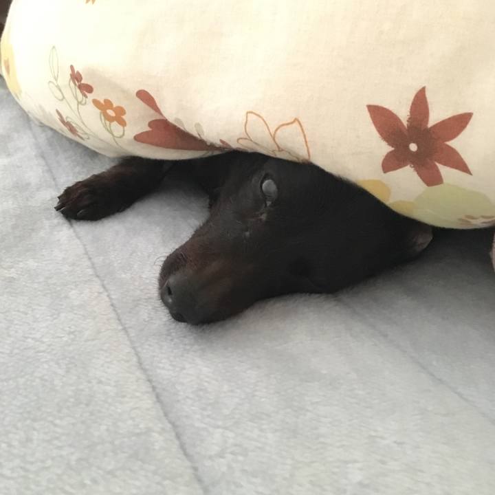 D626ed35 b11d 4174 8df7 b72ef4cd93d5 1551049791535