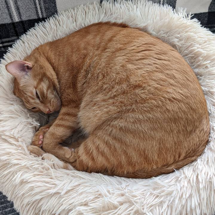 D62703de faed 4aec a963 e2bac76bd76e 1664025573028