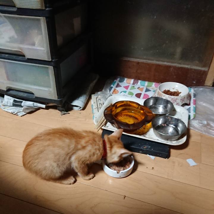 D627538c d06a 449c b1fd 58613e9578d5 1630095003364