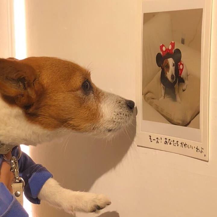 D6275be4 fa8b 4db6 8627 655b5b72003f 1524110470976