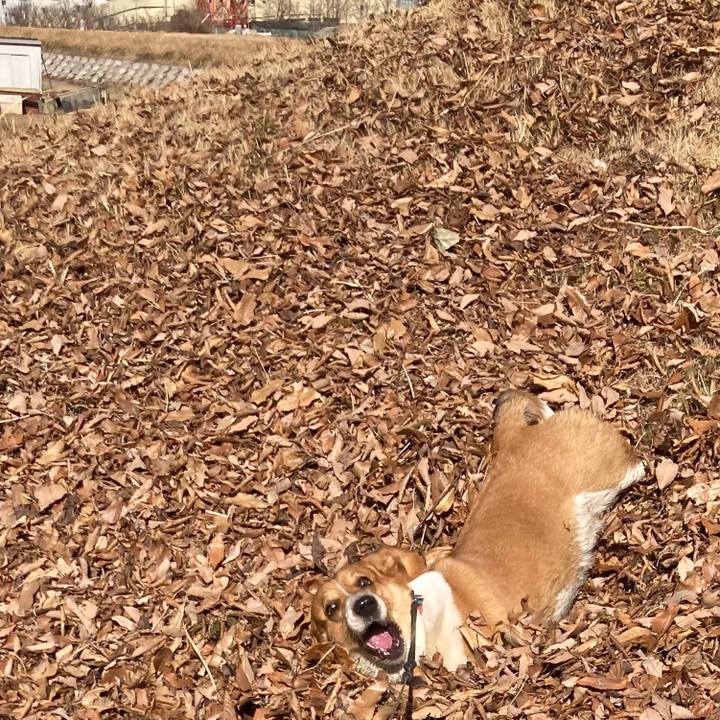 D627633a 6d8f 4f21 a2d2 70cb5546c4f8 1644282874275