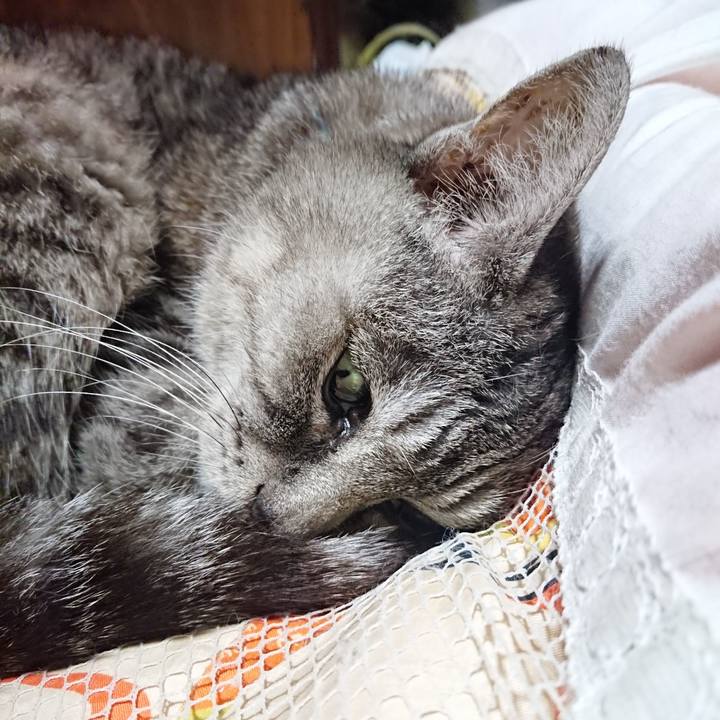 D6277e72 c53f 4f2c b7c8 55a90c6840ff 1570105326055