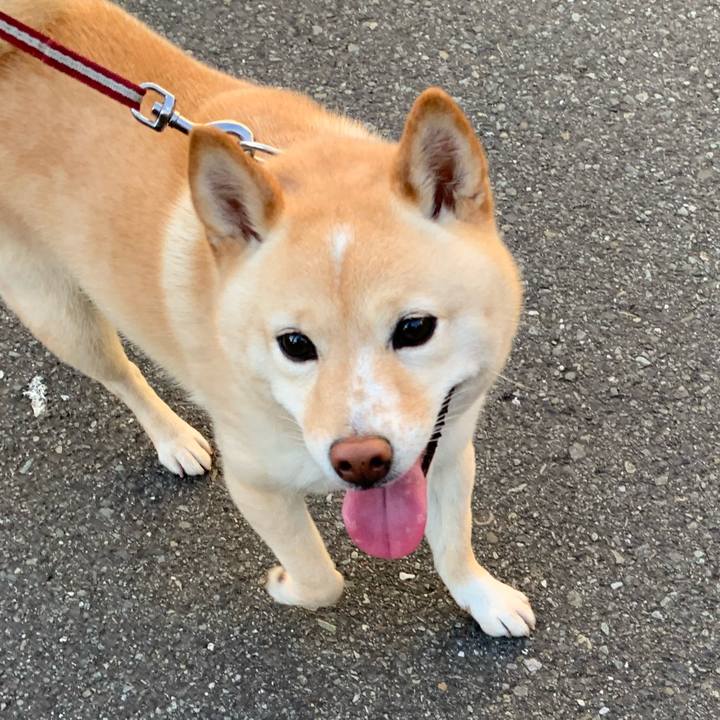 D6278abb 280c 415a 83e5 7cbbed4d165b 1656542362221