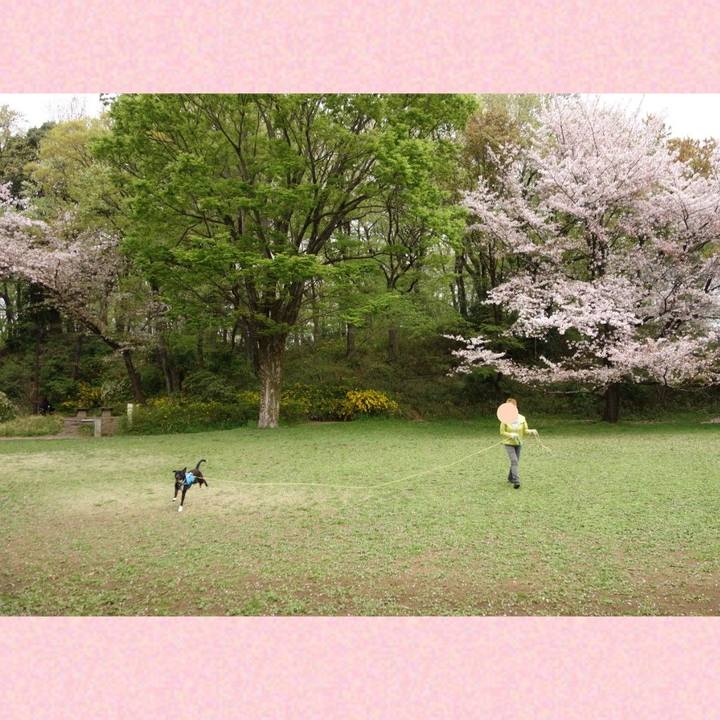 D627c753 187c 4dfe bc7d 34c9b1685a66 1617234584491