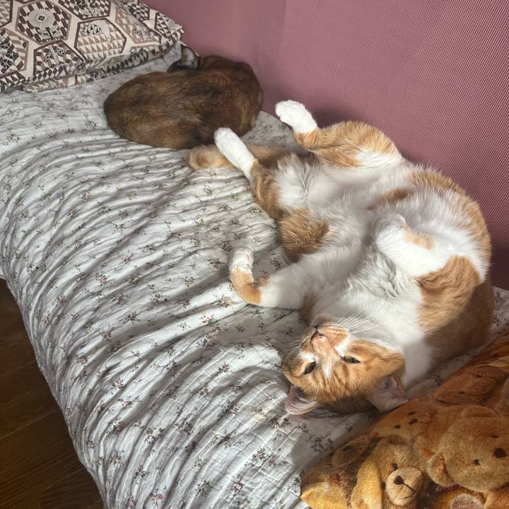 D627d65d c05f 4e10 9cb0 c8c083f0bb90 1736559598438