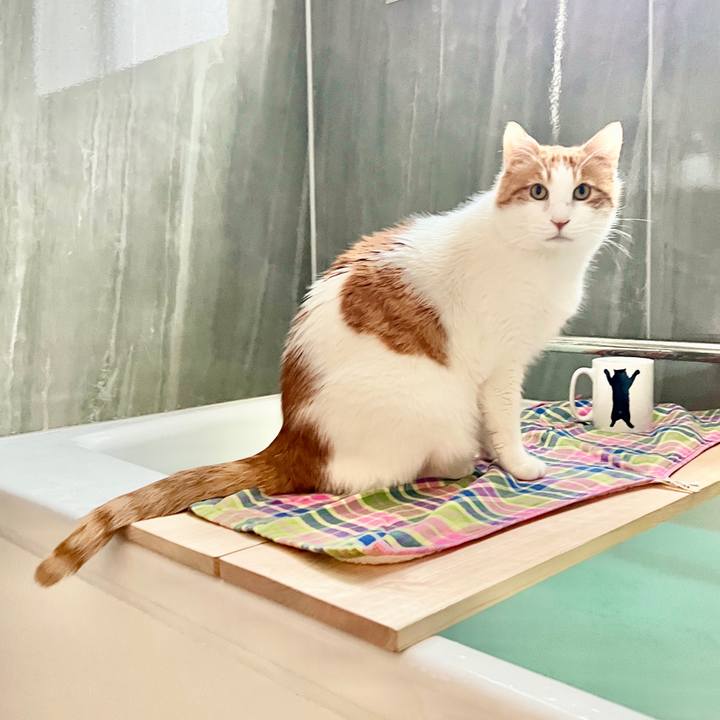 D627dd19 ea49 40f3 bc91 9d32cb10f905 1768264512228