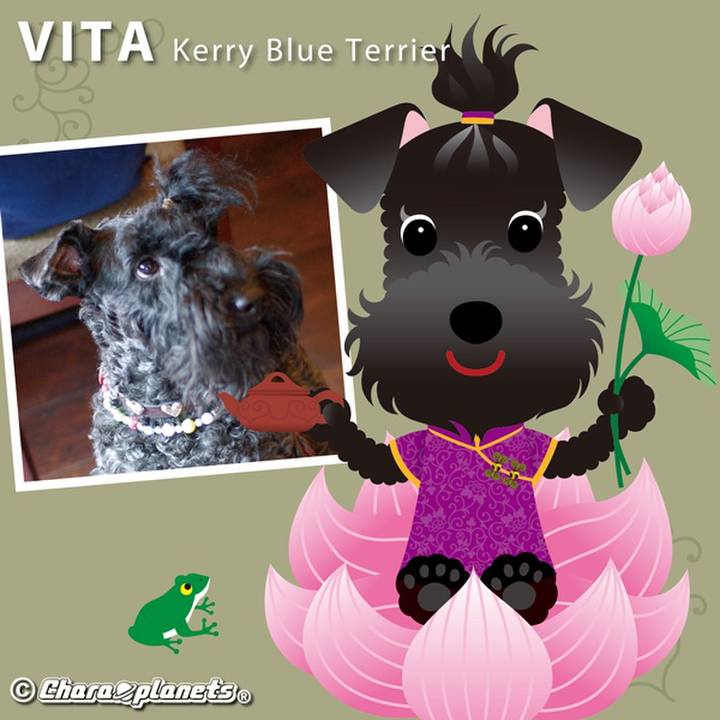 D627ed9b 83b7 4ac5 86a1 aaadefbac37b 1568717925282