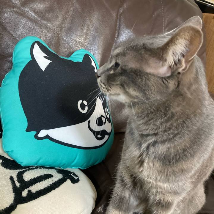 D627efc3 28a8 4d0d bb8a 5d48a621c5de 1677077963612