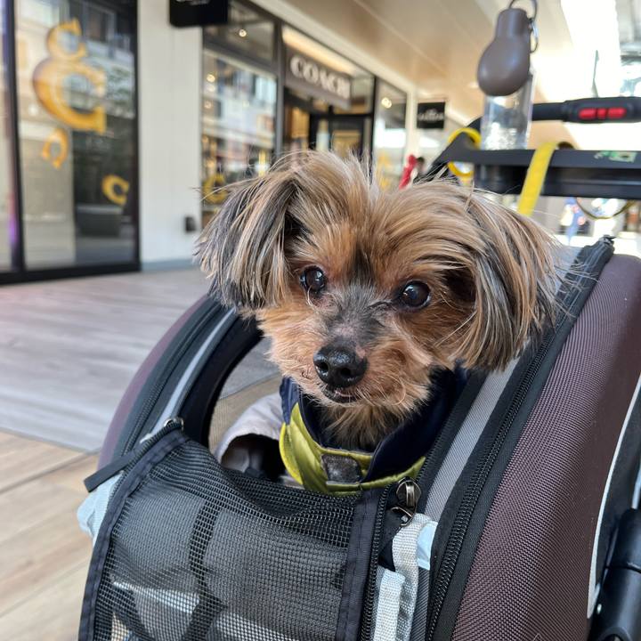 D627f7e5 1677 4bde a257 c7ce641f0ffd 1710391403289