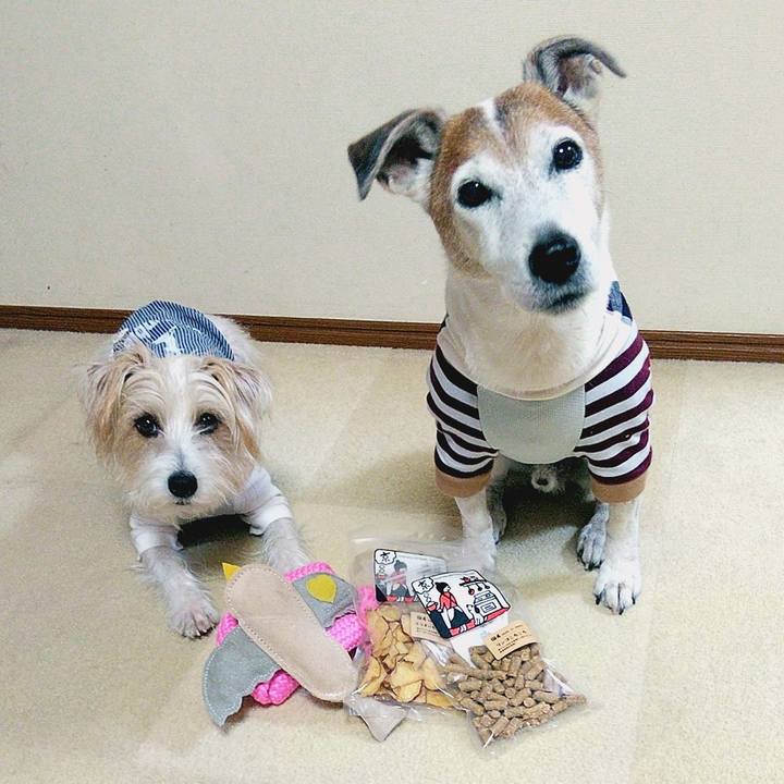 D6280299 3a1d 42de 8d97 b44b1fa1ce20 1578131201417