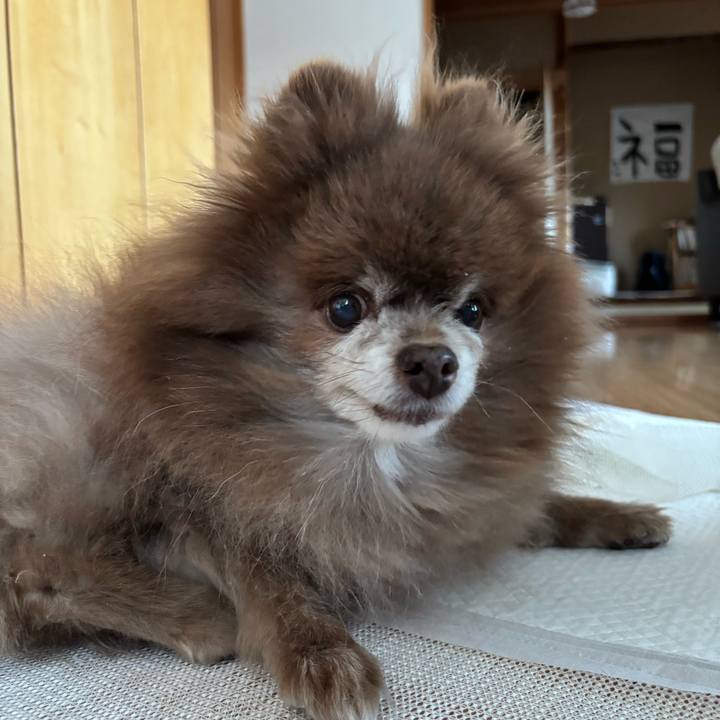 D6280ec2 a15a 4ce8 9c2b fad8a8fe3303 1773466811588