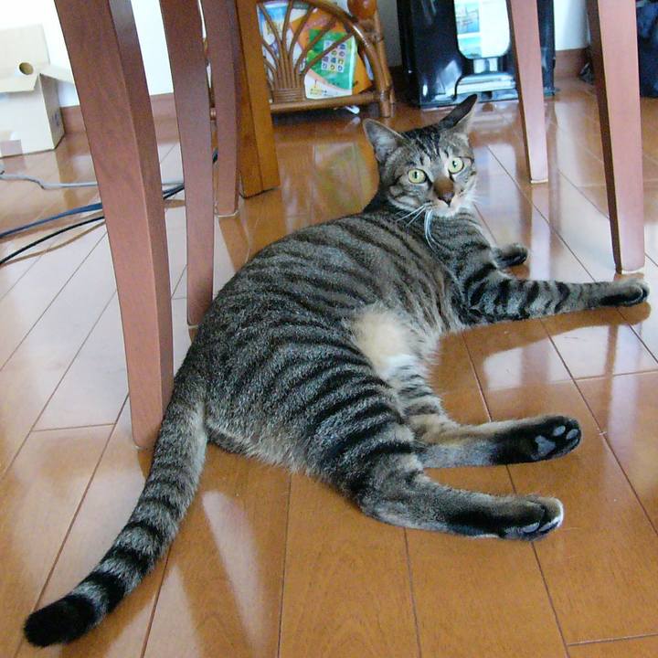 D62810e5 d654 4196 a0db a14ded9e3bdd 1561074293012