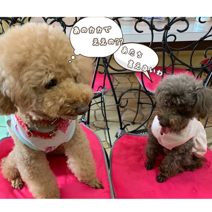 D628168c a6c2 4603 9490 a6ab8308b33d 1561190544664