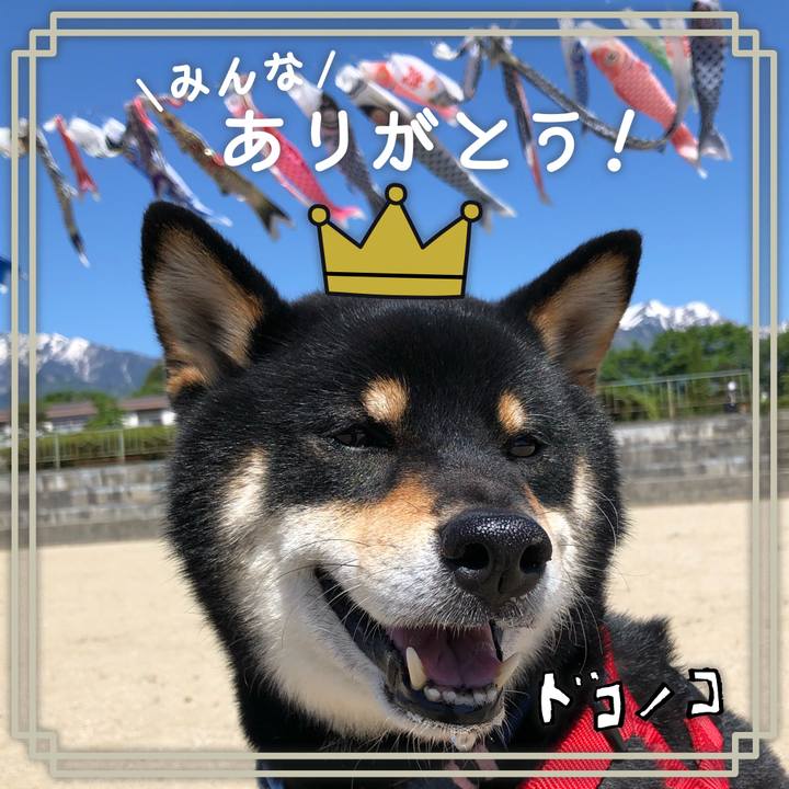 D6281eab 60cf 4515 97f1 bbba9b0435d9 1622942151743