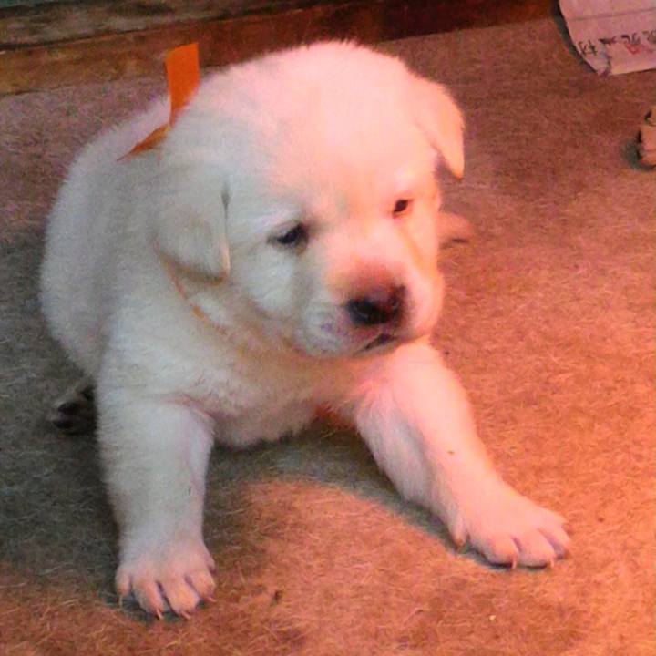 D62853c6 c864 48d3 9db1 4e2d7fdc4e5e 1567643533589