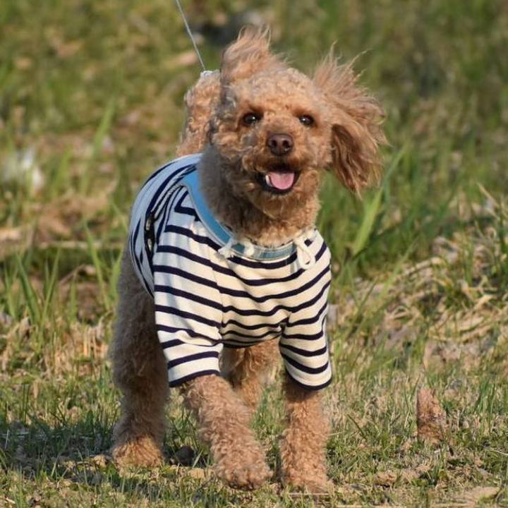 D6285783 0e6e 4fa1 b842 c9321fb6aea9 1525845370279