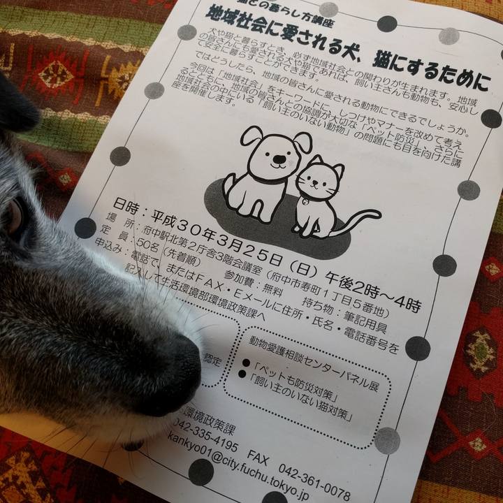 D6285fcb eec0 4e67 bb1d f732d747813b 1521424896623