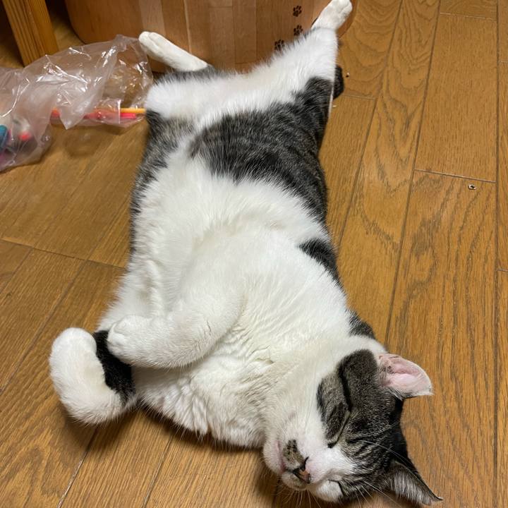 D6286241 b119 44f3 9313 118288ced8bb 1662870965810