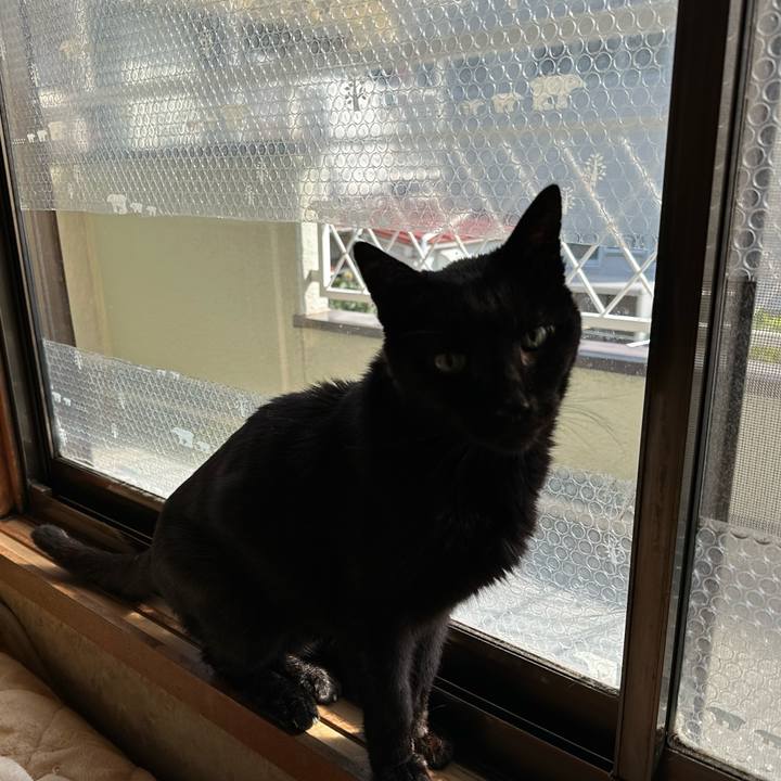 D62869a9 b347 44a7 944b 95243ee22e6c 1711936462148