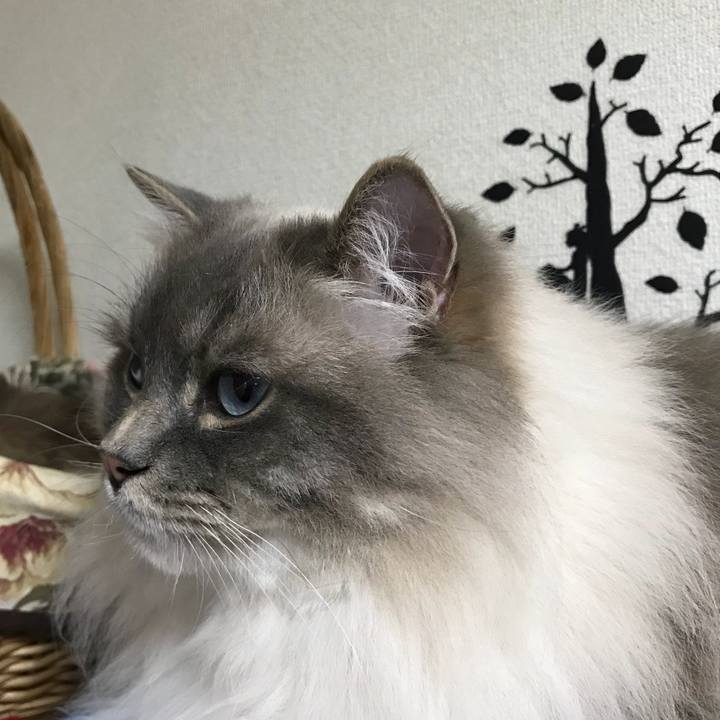 D6287a51 f41f 4ce3 afb1 9d34d25178af 1525605882233