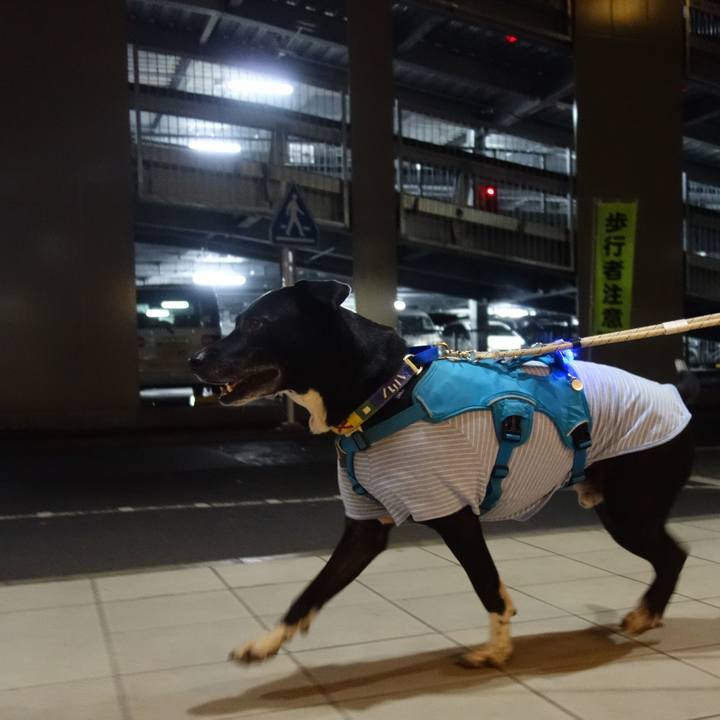 D628d7f6 73be 459f 9bb9 97aa00420b61 1674383746288