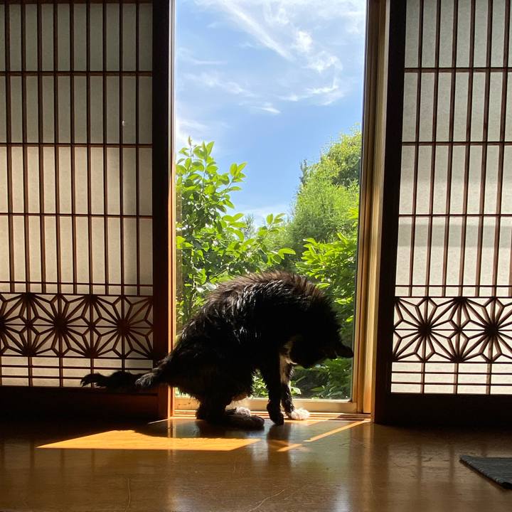 D628f7ff 373e 4cb1 9faa b70f52f44b48 1688275691782