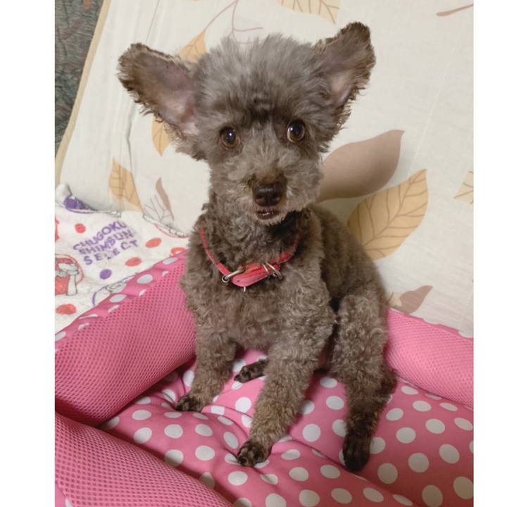 D629103f f3b8 4d34 a391 0cbddc2872f2 1656886706679