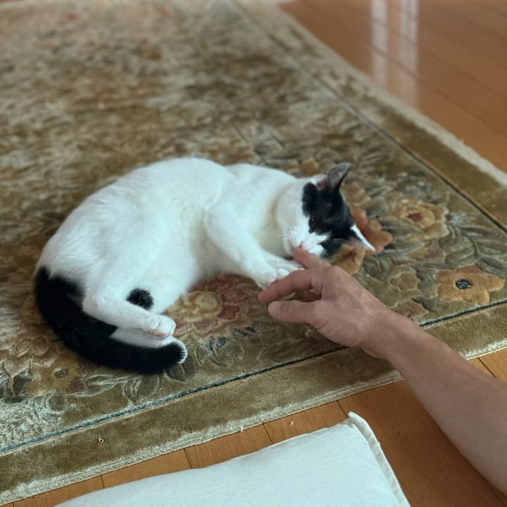 D6294154 b1bd 41cd 9ee5 75e9f3ab4532 1761024722590